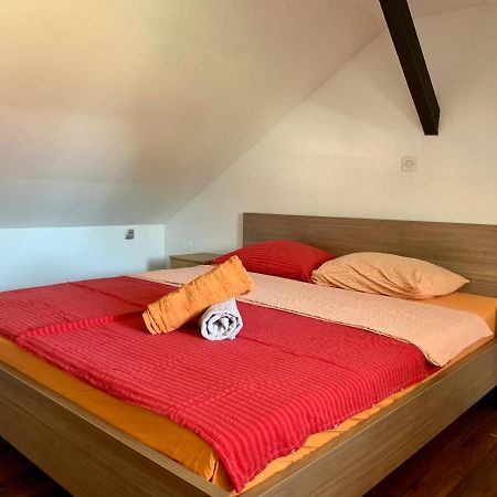 Peachy House Bezigrad Otel Ljubljana Dış mekan fotoğraf